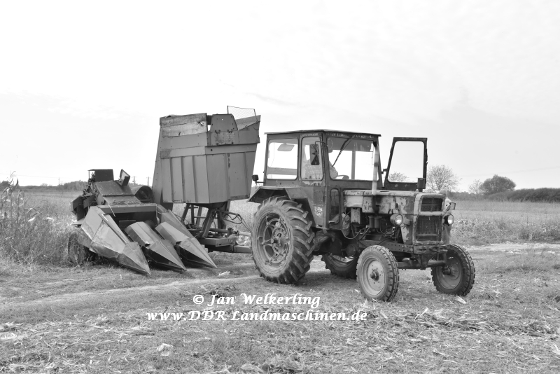 UTB U-650M Maisernte